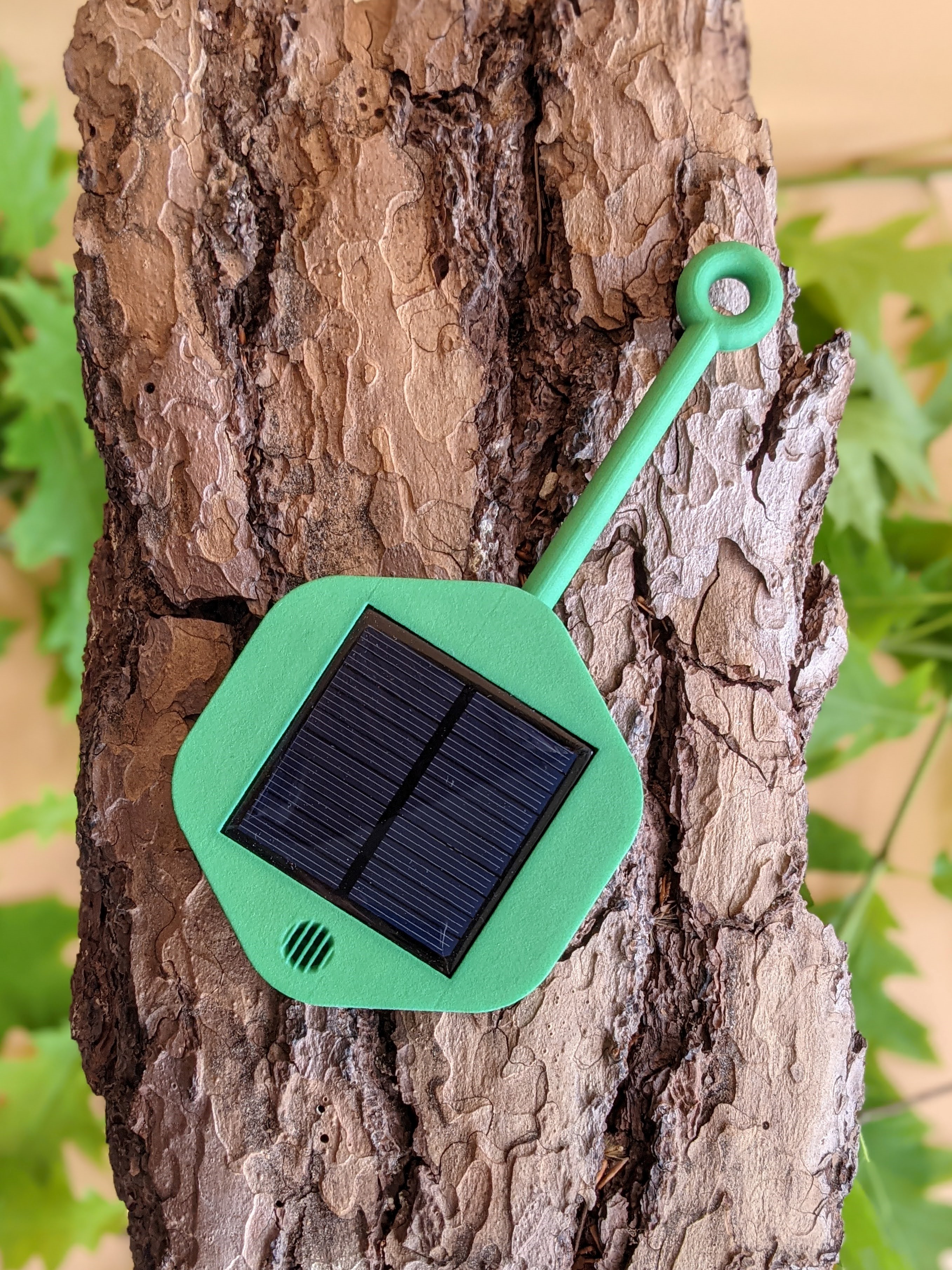 Ausschnitt eines Baumes mit einem Solarpanel