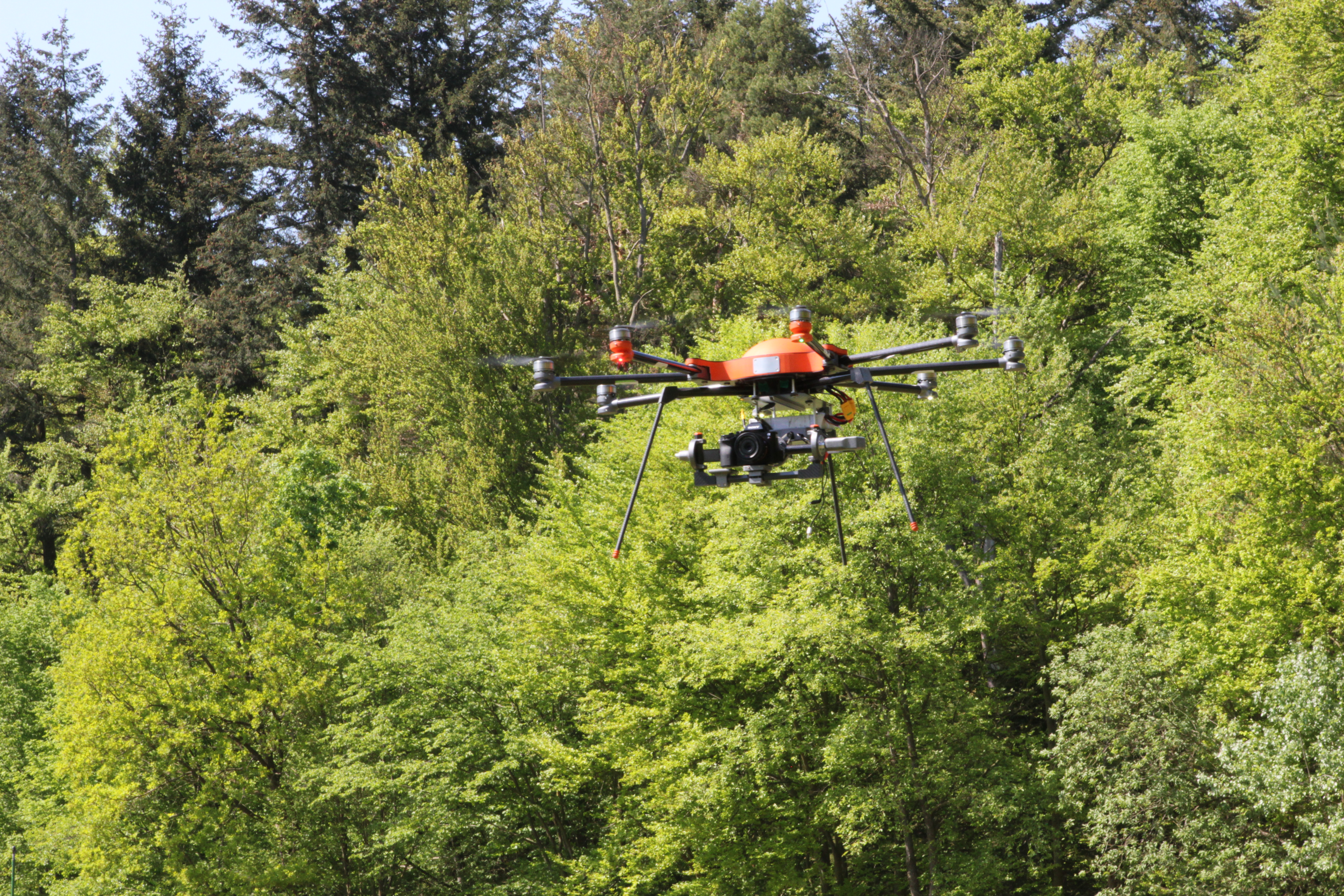 Drohne über Waldgebiet