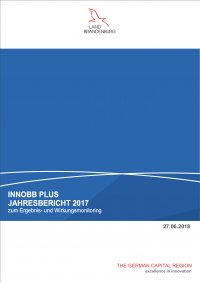 Jahresbericht 2017 zum Ergebnis und Wirkungsmonitoring | innoBB plus