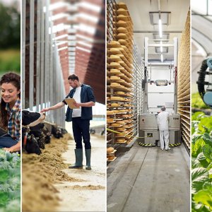 Nachhaltige Land- und Ernährungswirtschaft Brandenburg